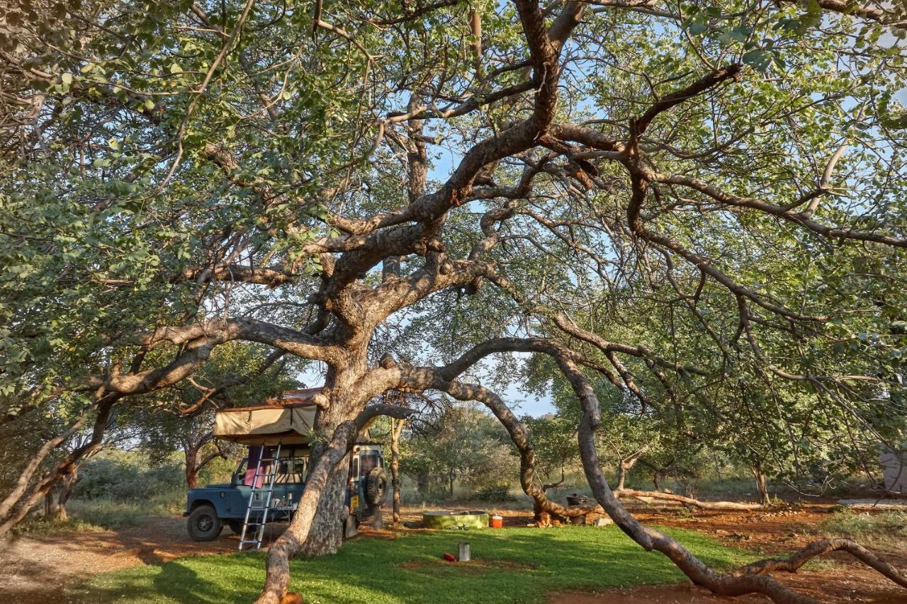 ZuriCamp Campsite Tsumeb Exterior foto