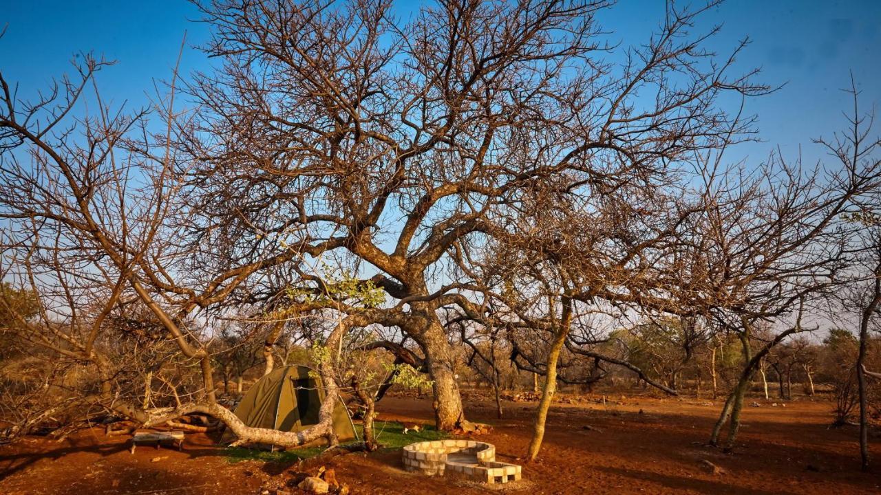 ZuriCamp Campsite Tsumeb Exterior foto